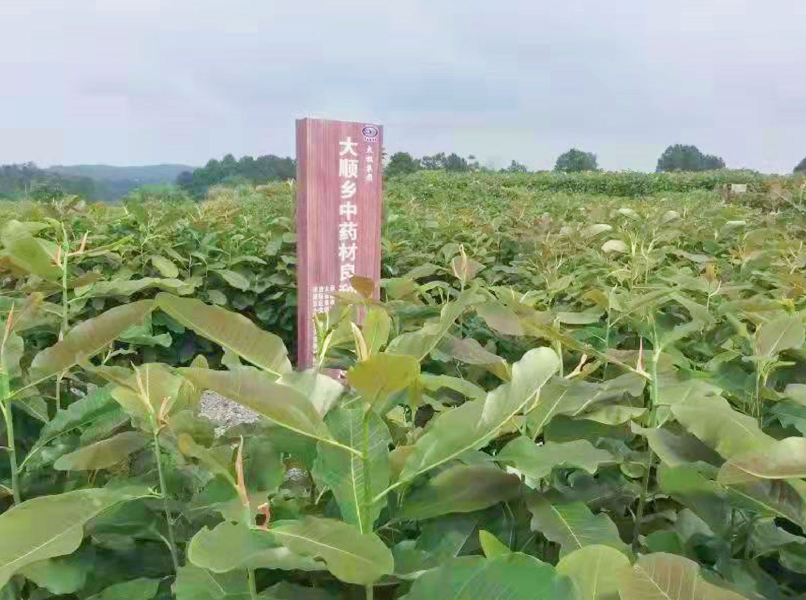 微信圖片_20211220114501-01.jpg